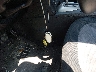 JN8AS5MV1DW****** Salvage 2013 Nissan Rogue in Texas State