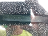 4S4BP61C977****** Used 2007 Subaru Outback in Seattle