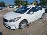 3KPFK4A73HE****** Usados y Reparables 2017 Kia Forte en Columbus