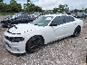 2C3CDXCT3KH****** Used and Repairable 2019 Dodge Charger in Tampa North