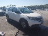 5J6RM3H32DL****** Salvage and Wrecked 2013 Honda CR-V in Nashville