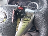 1N4AB7AP3DN****** Salvage 2013 Nissan Sentra in Virginia State