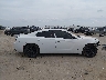 2C3CDXBG6KH****** Reparables 2019 Dodge Charger en Estado de Texas