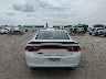 2C3CDXBG6KH****** Usados 2019 Dodge Charger