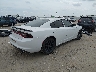 2C3CDXBG6KH****** Salvamento y Destrozados 2019 Dodge Charger en Estado de Texas