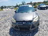 1FADP3K24EL****** Salvamento y Reparables 2014 Ford Focus en Estado de Florida