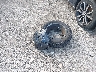 3N1AB8CV5PY****** Wrecked 2023 Nissan Sentra in Ohio State