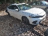 19XFL1H77PE****** Salvamento y Destrozados 2023 Honda Civic en Indianapolis