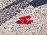 1G1BC5SM7H7****** Wrecked 2017 Chevrolet Cruze in Texas State