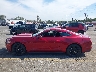1FA6P8TH4G5****** Reparables 2016 Ford Mustang en Estado de California