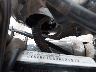 JYAVM01E68A****** Reparables 2008 Yamaha XVS650 en Rec Rides Online Exclusive