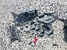 KMHLS4AG7NU****** Wrecked 2022 Hyundai Elantra in Ohio State