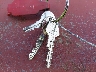 BS23H2B4***** Salvage 1972 Plymouth Barracuda in Tennessee State
