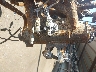 WB1022902AZ****** Reparables 2010 BMW F 800 GS en Columbus