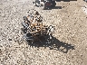 WB10B1109GZ****** Salvamento y Destrozados 2016 BMW F 700 GS en Columbus