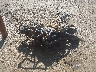 WB10B1109GZ****** Usados y Reparables 2016 BMW F 700 GS en Columbus