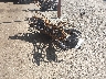 WB10B1109GZ****** Salvamento y Reparables 2016 BMW F 700 GS en Columbus
