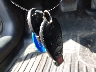 1C3CDFBB9ED****** Salvage 2014 Dodge Dart in Pennsylvania State