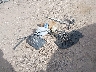 3VW4R6AJ7EM****** Wrecked 2014 Volkswagen Jetta in Texas State
