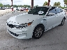 KNAGT4L35G5****** Usados y Reparables 2016 Kia Optima en Tampa