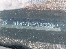 1HGCV3F24NA****** Wrecked 2022 Honda Accord Hybrid