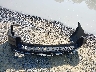 1GNSCSKD4NR****** Wrecked 2022 Chevrolet Tahoe in Florida State
