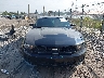 1ZVBP8AM5C5****** Usados 2012 Ford Mustang en Estado de Pennsylvania
