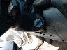JTEGH20V110****** Salvamento 2001 Toyota RAV4 en Estado de Texas