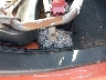 JTDKDTB37C1****** Repairable 2012 Toyota Prius C in Massachusetts State