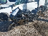 JYARM38E8NA****** Used and Repairable 2022 Yamaha YZF-R7 in Rec Rides Online Exclusive