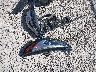 5GAEVAKW5KJ****** Destrozados 2019 Buick Enclave en Estado de Ohio
