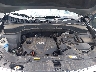 5XYKTCA62FG****** Repairable 2015 Kia Sorento in Charlotte
