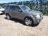 1FMCU9EG8CK****** Salvamento y Destrozados 2012 Ford Escape en Wichita