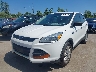 1FMCU0F73DU****** Salvamento y Reparables 2013 Ford Escape en Estado de Ohio
