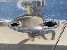 19XFB2F56FE****** Usados 2015 Honda Civic