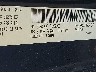 2C3CCAAG1EH****** Usados 2014 Chrysler 300 en Fort Worth North