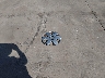 4T1BF3EK5AU****** Wrecked 2010 Toyota Camry in Texas State