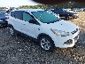 1FMCU9GXXFU****** Salvamento y Destrozados 2015 Ford Escape en Long Island