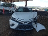 4T1G11AK7LU****** Salvage and Repairable 2020 Toyota Camry in Arizona State