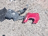 KNADM5A30D6****** Wrecked 2013 Kia Rio in New Mexico State
