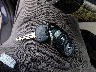 KMHDU4AD2AU****** Salvage 2010 Hyundai Elantra in North Carolina State