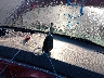 3C3JY55E97T****** Salvamento 2007 Chrysler PT Cruiser en Estado de Iowa