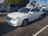 4T1BK36B66U****** Used and Repairable 2006 Toyota Avalon in Nashville