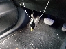 JTJZK1BA8E2****** Salvage 2014 Lexus RX 350 in Florida State