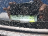ZFBHRFAB2N6****** Used 2022 RAM Promaster City