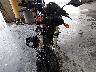 ZDM1RADM97B****** Used and Repairable 2007 Ducati Monster in Alaska State