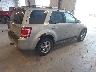 1FMCU9EG7AK****** Salvamento y Destrozados 2010 Ford Escape en Estado de Michigan