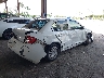 1G1AS55H397****** Salvage and Wrecked 2009 Chevrolet Cobalt in Florida State