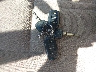 4T1BG22K71U****** Salvamento 2001 Toyota Camry en Estado de Connecticut