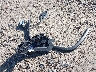 1C4RJFBG1EC****** Destrozados 2014 Jeep Grand Cherokee en Estado de Wisconsin
